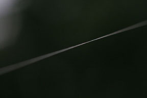 eer