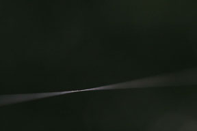 eer