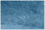 pinhole series - 2009