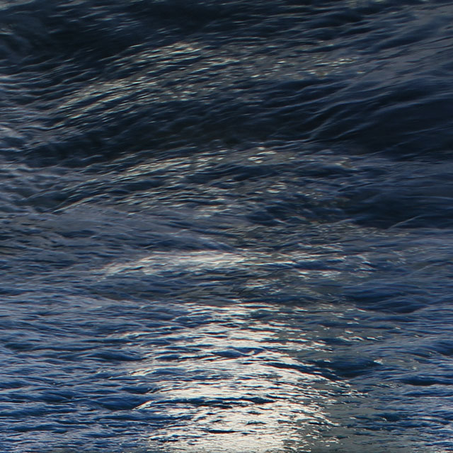 selkie songs